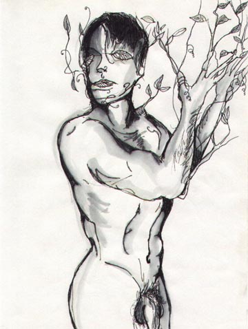 Drawing Nude Male Daphne Jpg