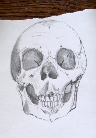 Skull Drawing Sweeney Jpg
